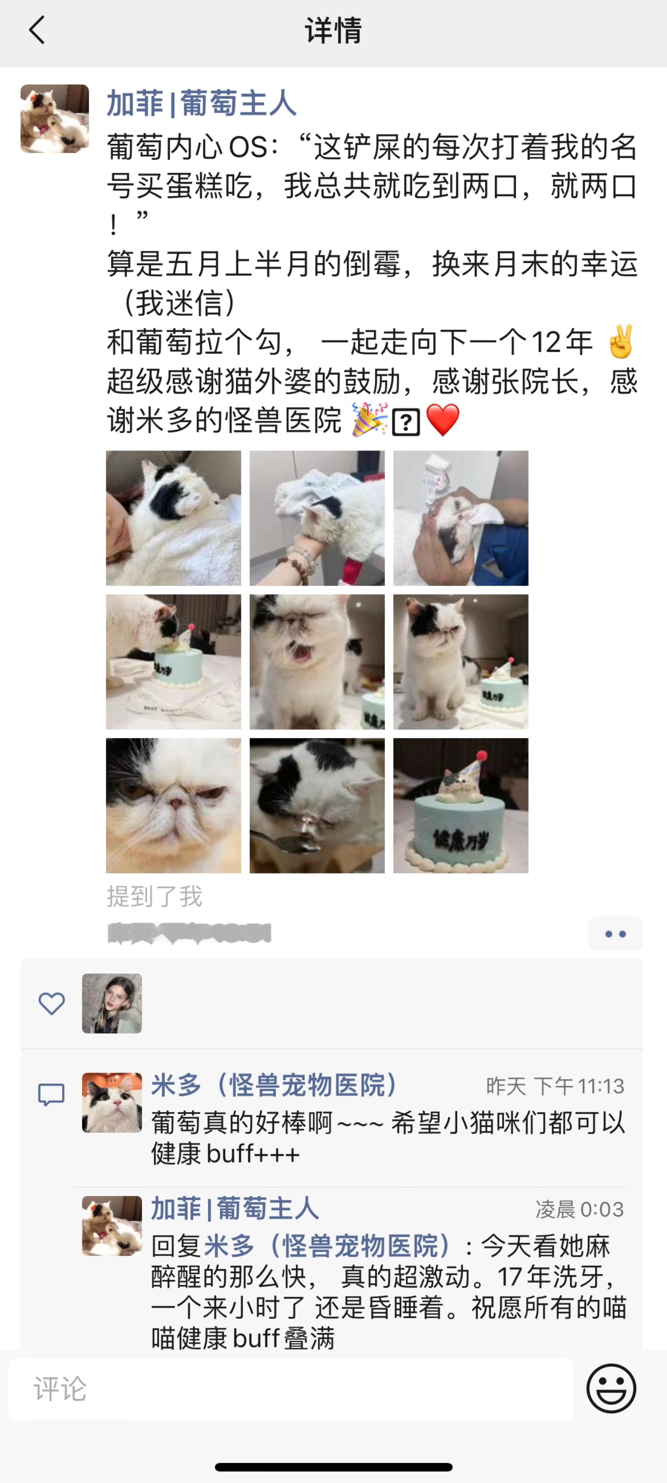 【怪兽病例】替葡萄宝贝开心，太值得庆祝了  12岁+加菲+HCM肥厚性心肌病，d