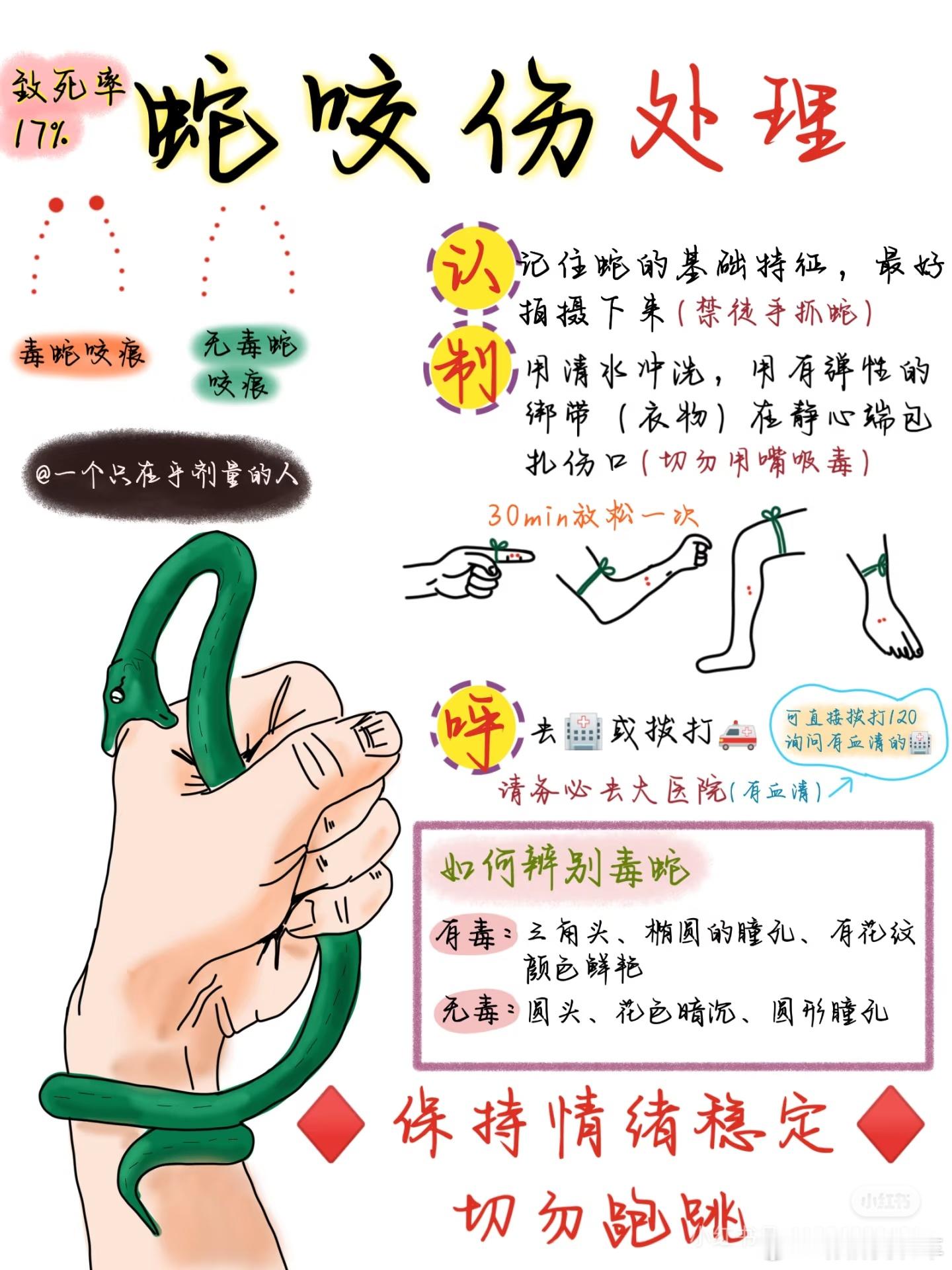 被毒蛇咬伤第一时间自救法码一下，万一呢（图片来源水印） ​​​
