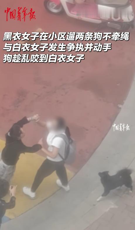 辽宁沈阳，一女子小区遛狗不牵绳，与路人发生争执后双方动起手来，没想到狗也跟着冲了