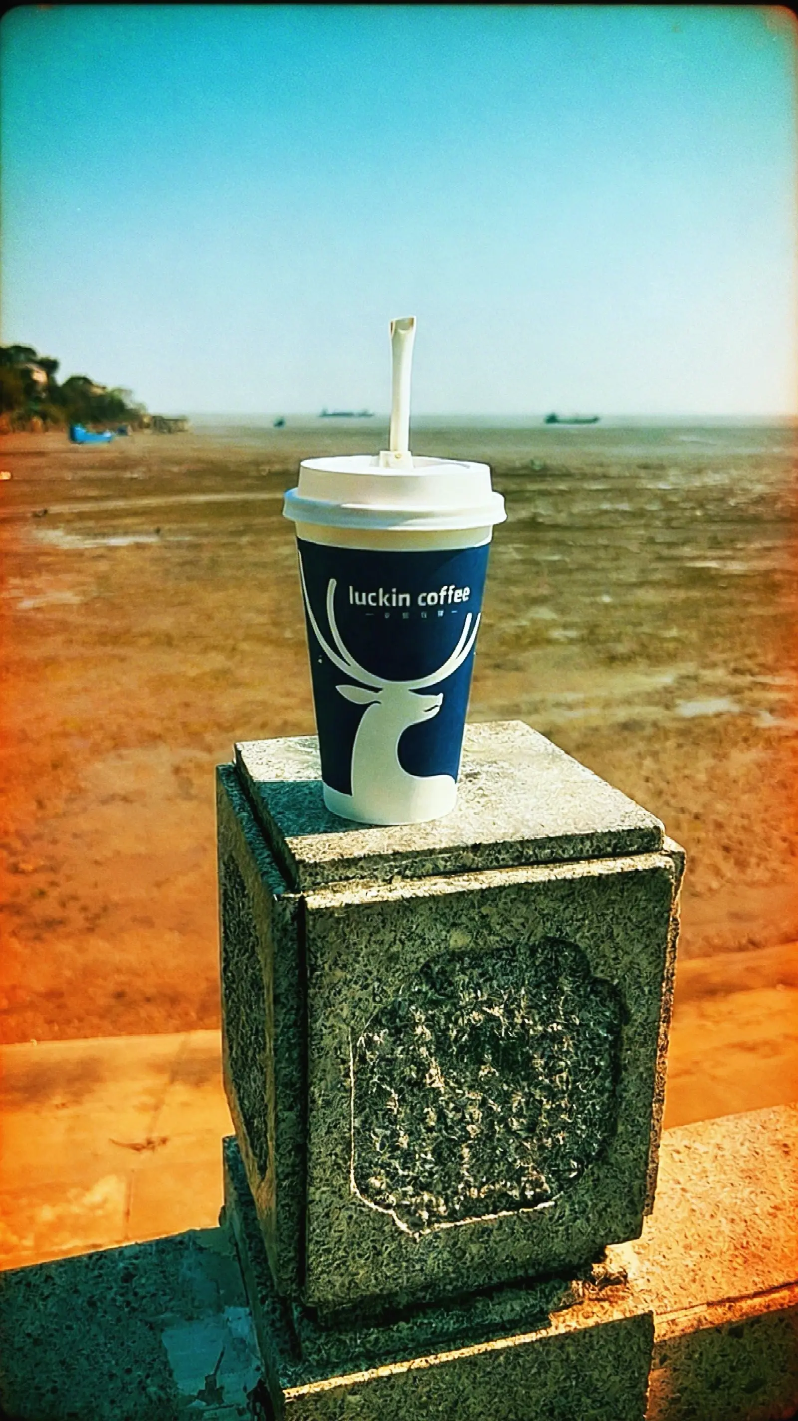 全凭良心  那一路走来  我仁至义尽  ，除了脾气  该给的 不该给的...