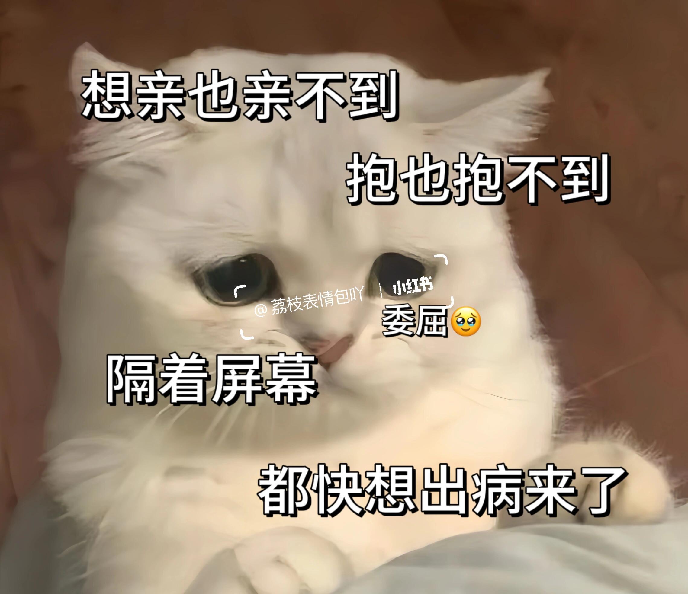 一堆偶像剧主演恨不得把大床摆到热搜里常驻宣发了，粉丝还在装模作样围观厉夏的吻戏路