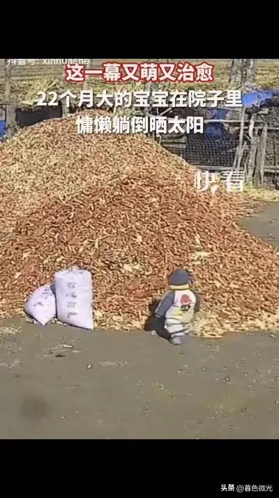 22个月宝宝火了！躺苞米芯上晒太阳，网友：接地气的孩子最养人
 
22个月大的宝