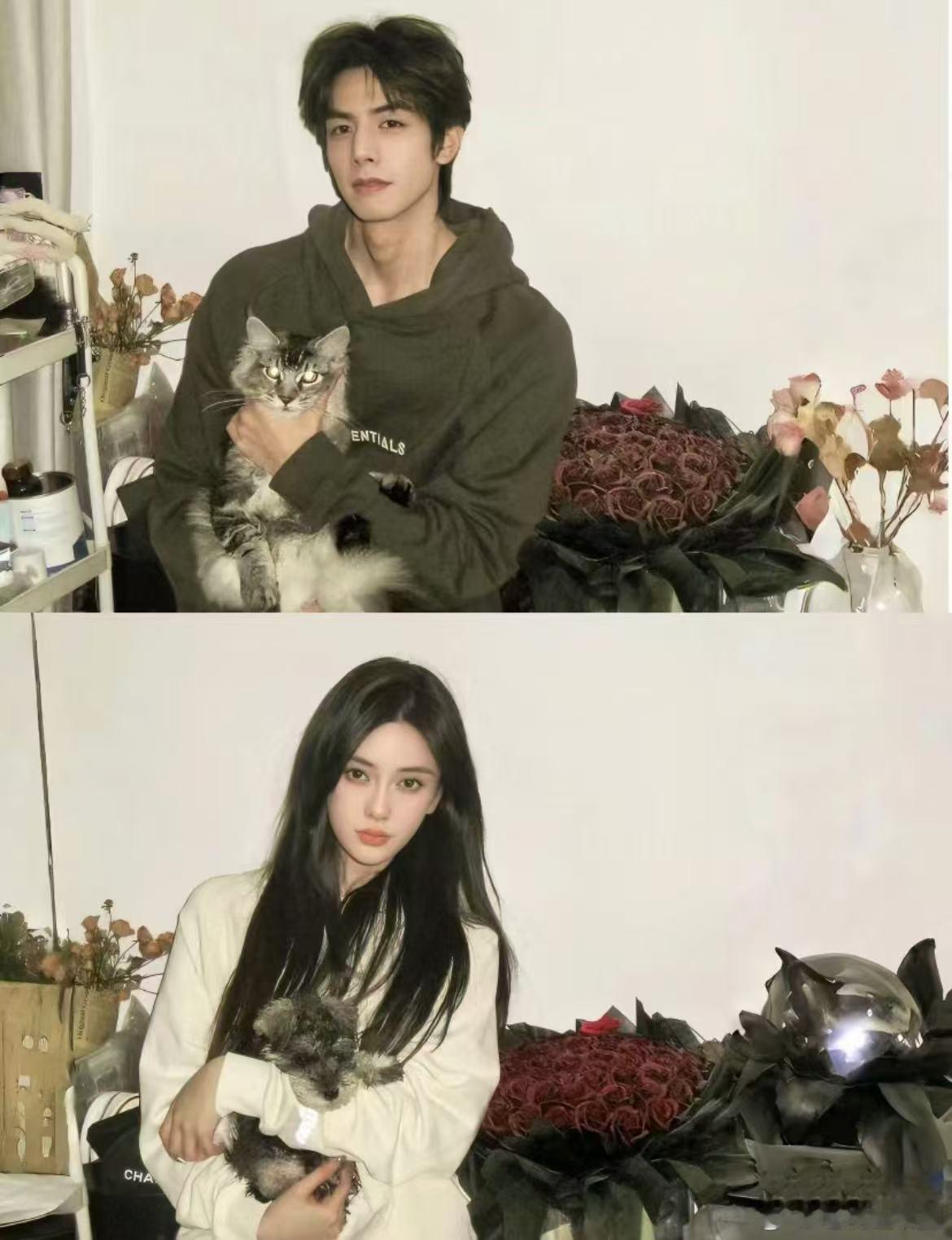 好美！angelababy 宋威龙 