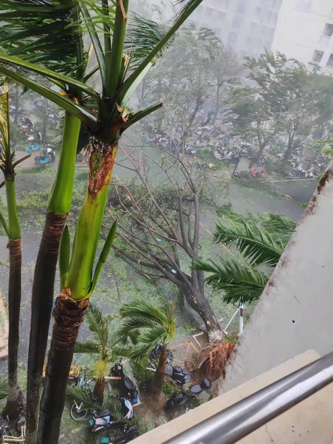 #万能生活指南#
台风摩羯来了！
今晚注定是不眠之夜，外面风雨交加，狂风暴雨，根