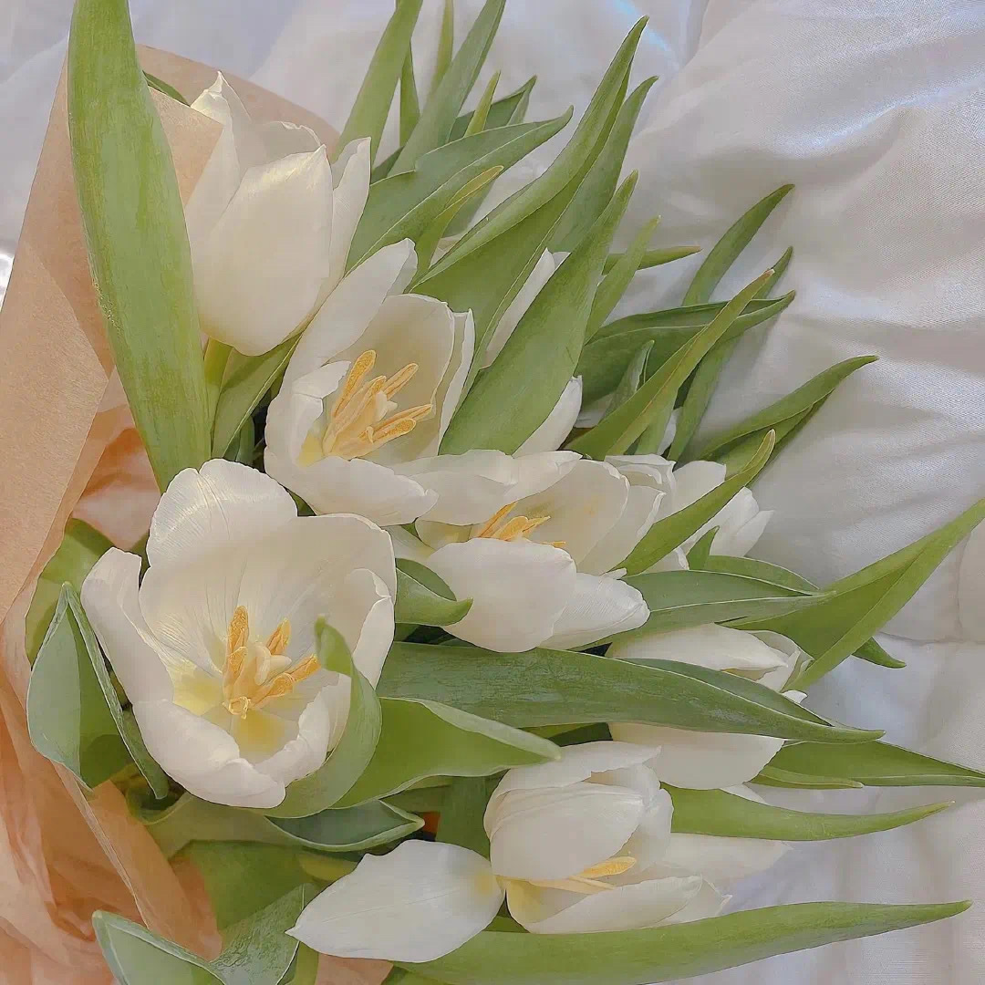 ²⁰²³/₉.₁₃💐  ♡𝑀𝑜𝓇𝓃𝒾𝓃𝑔 ˶ᵔᵕᵔ对自己只有三个
