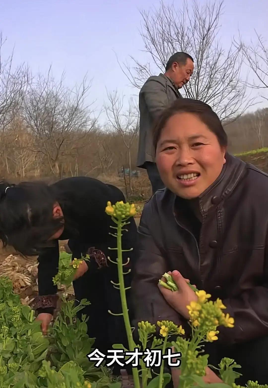 胖妹刚回村三天就被全家围着催生，婆婆端来补汤，小姑子递上育儿书，连邻居都跑来问肚