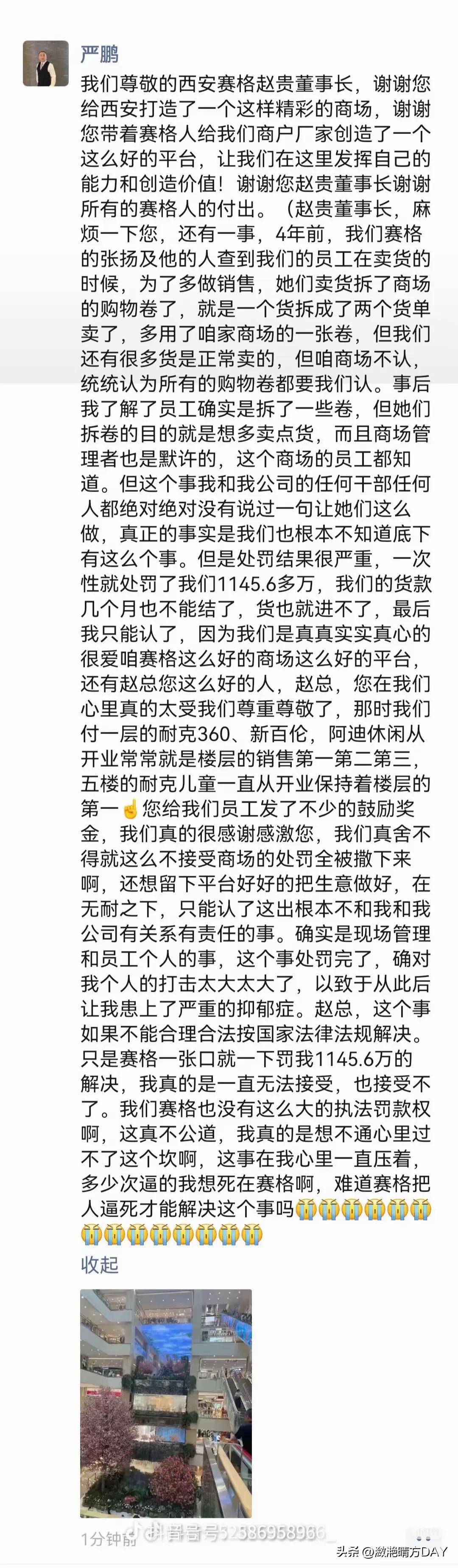 西安赛格，这是严鹏最后无奈的心声，不知道有多少普通老板能够经得起一次性罚款一千多
