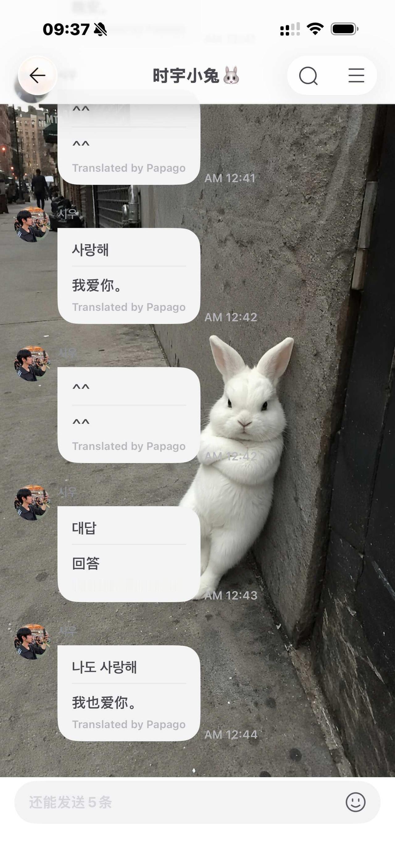 霸道小兔子
朴时宇