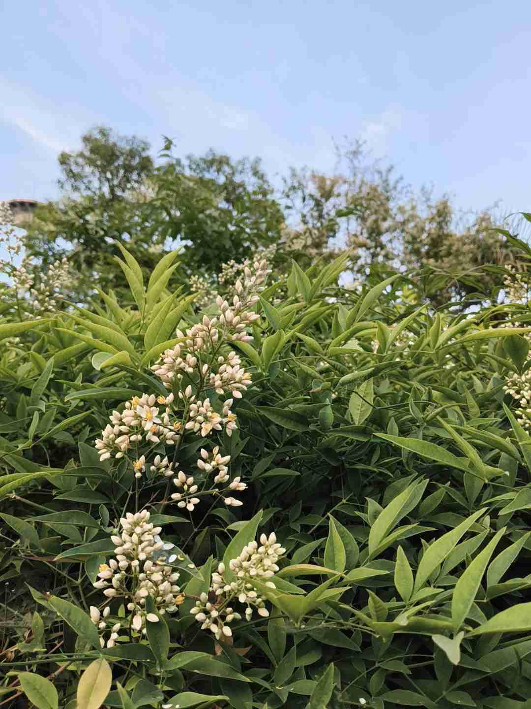 我的今日状态：😁轻松愉快
我这里的天气：☀️晴天