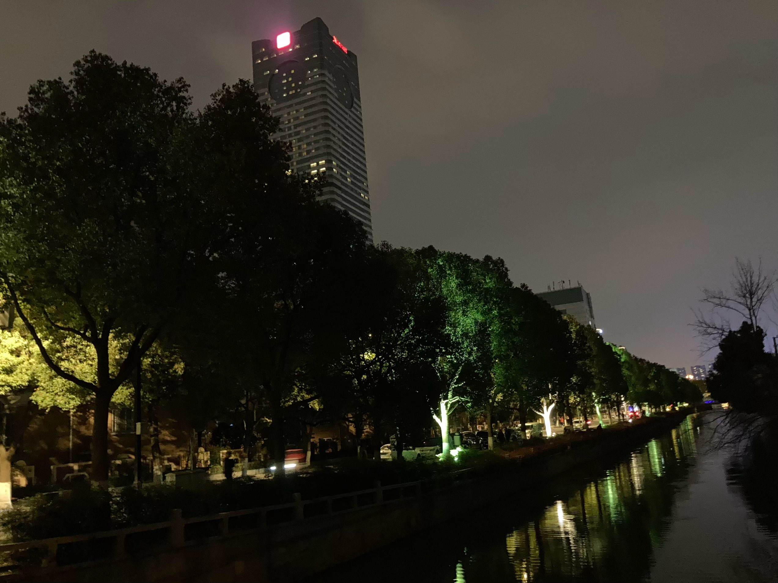 春风又绿江南岸🌳 