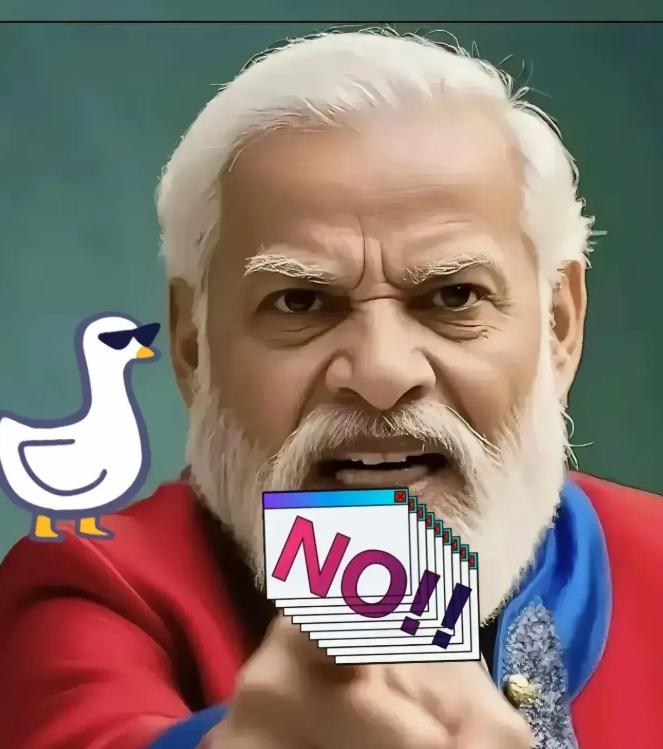 印度总理莫迪已经做出了选择，不论在金砖国家还是上合组织，都不会与广大发展中国家一