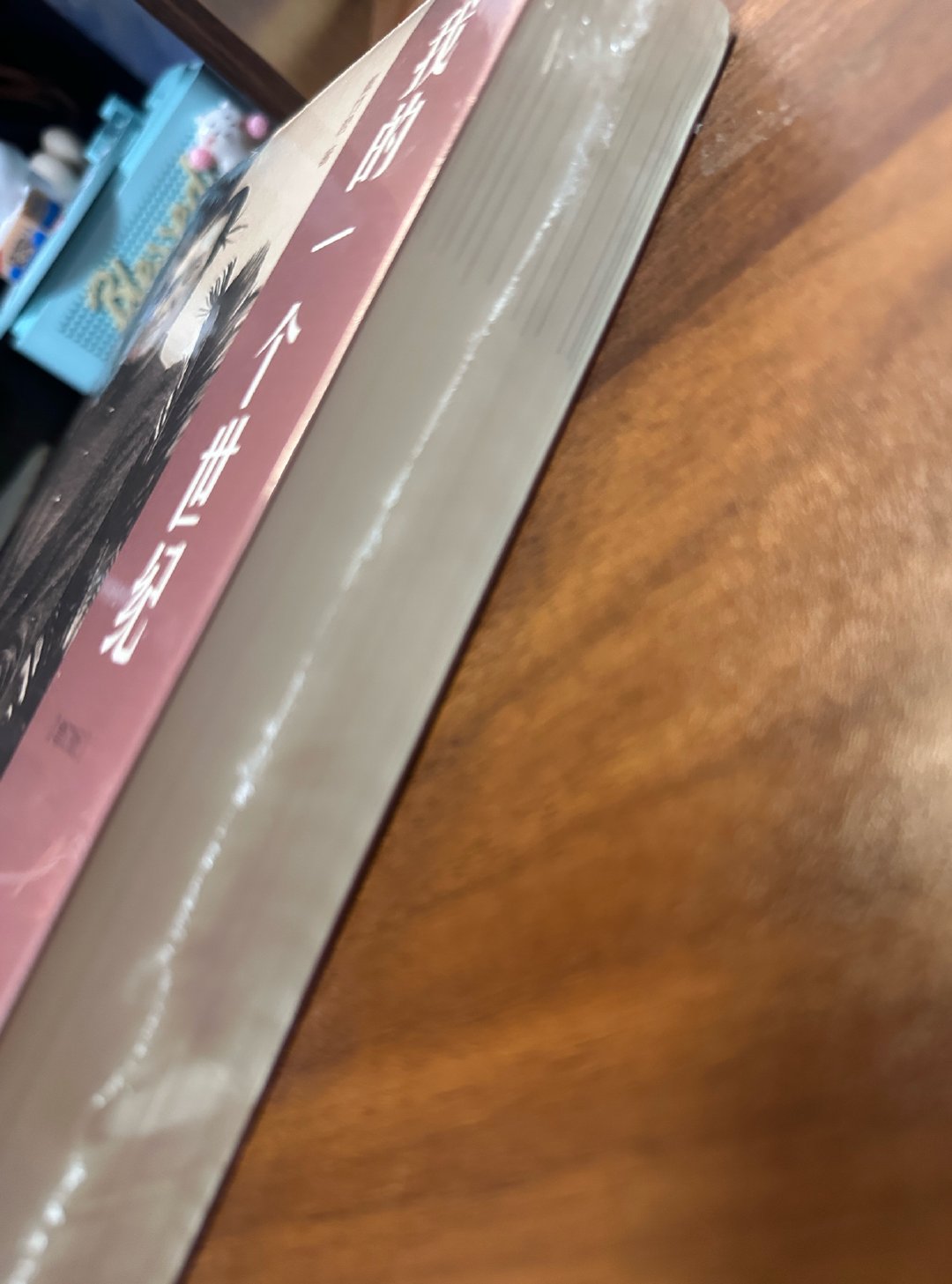 好厚啊感觉可以看好久杨紫董竹君