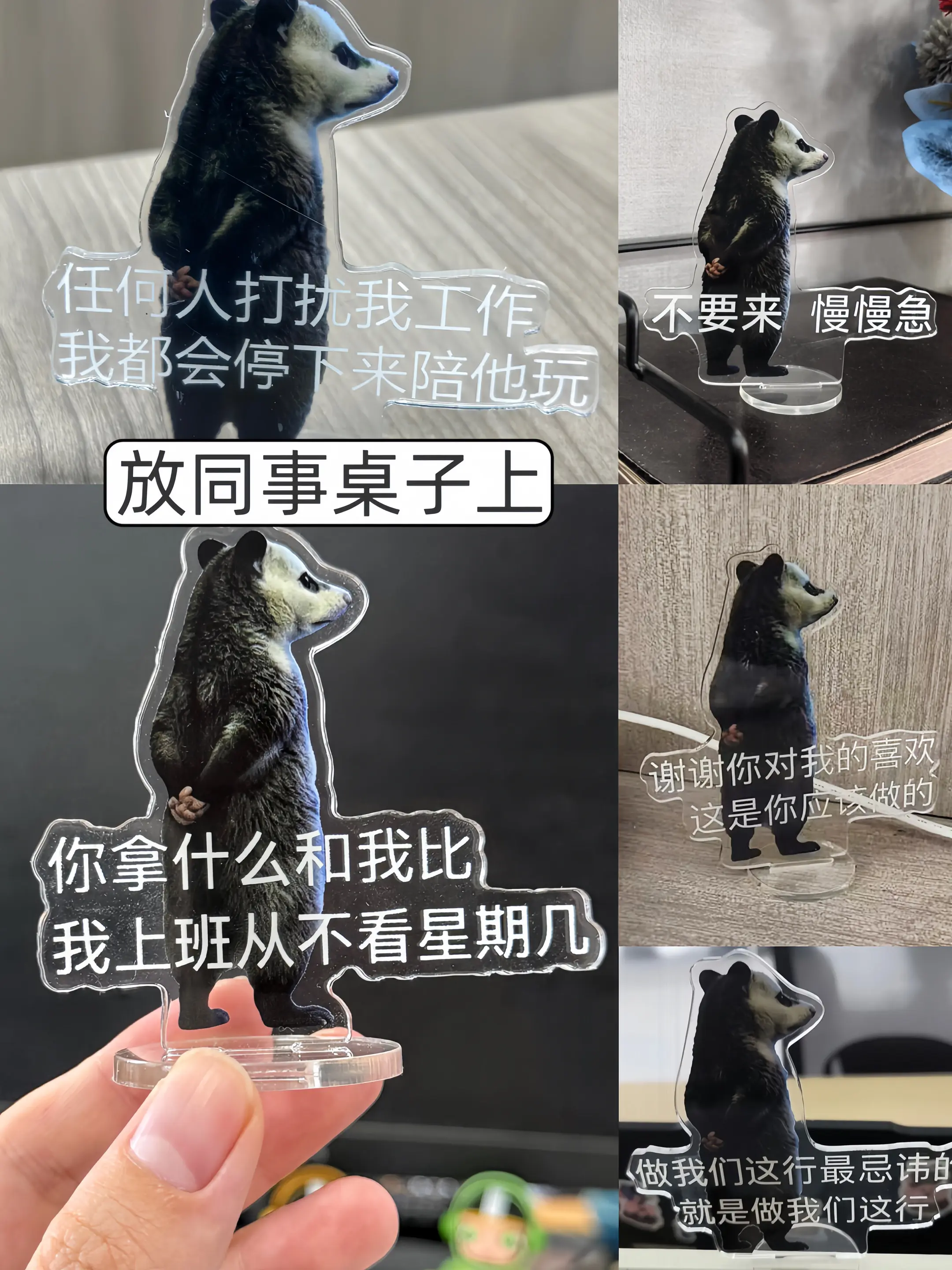 放同事桌子上
