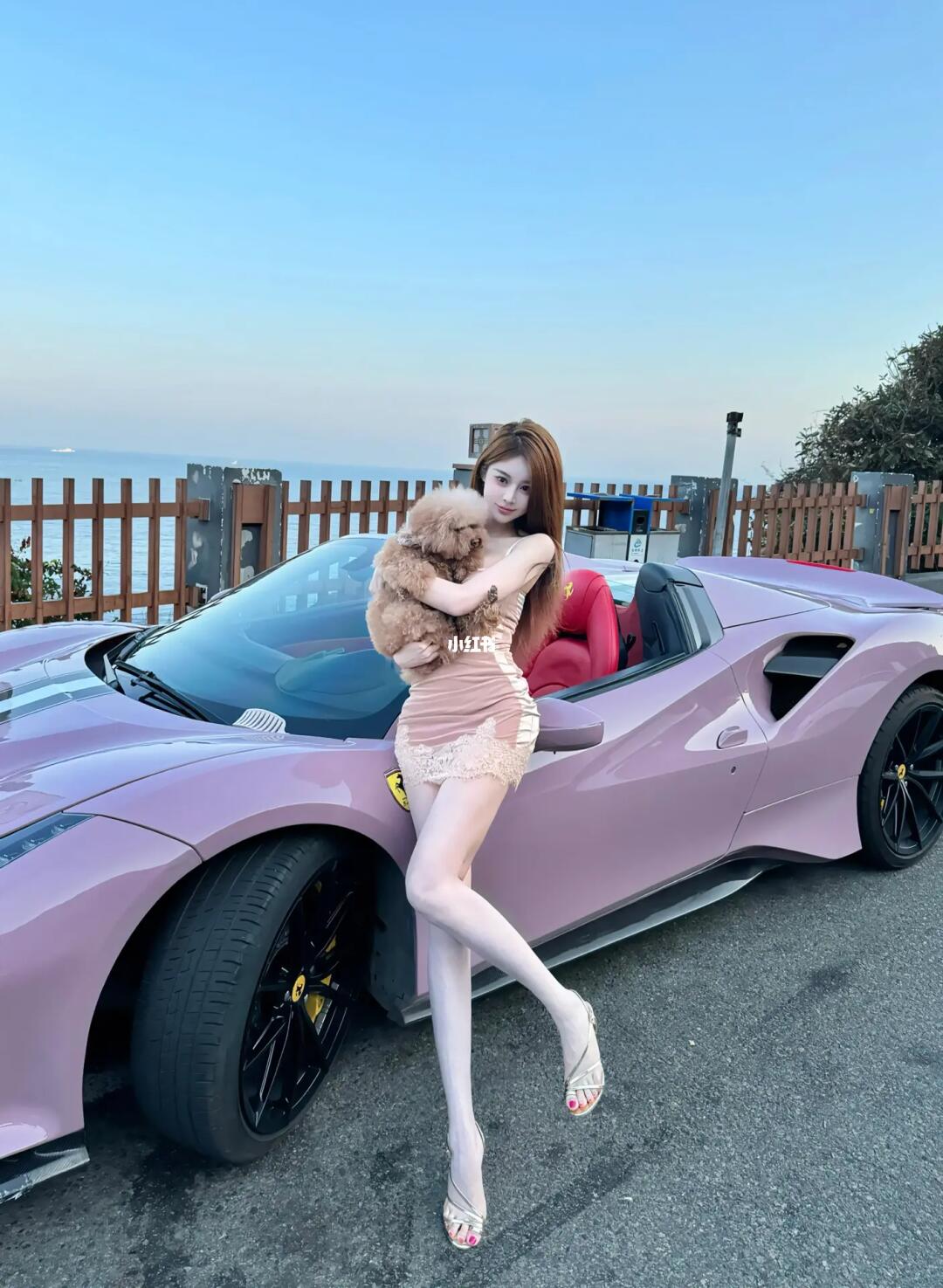 小狗的爱只有一次🌴