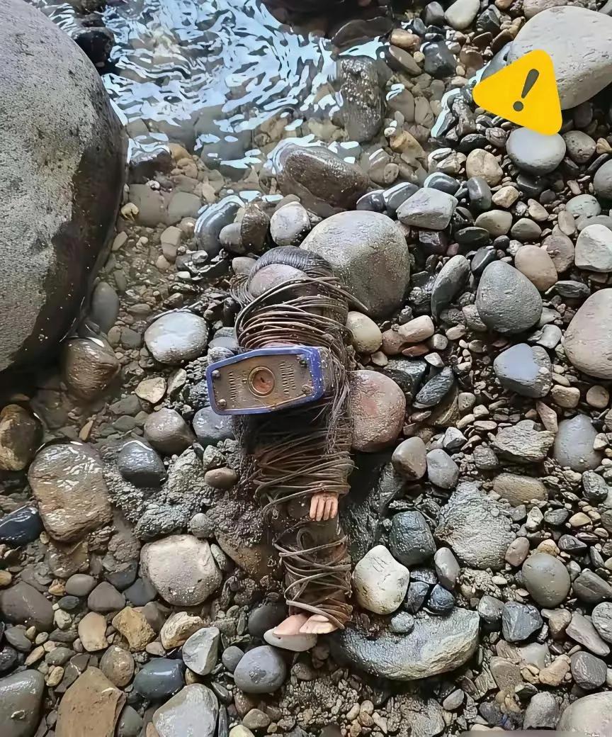 在河边玩耍时发现的，这是何物？