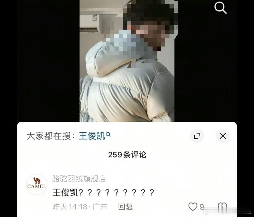 骆驼向王俊凯致歉近日，骆驼品牌方相关工作人员与某博主开展合作，并使用官方账号在视