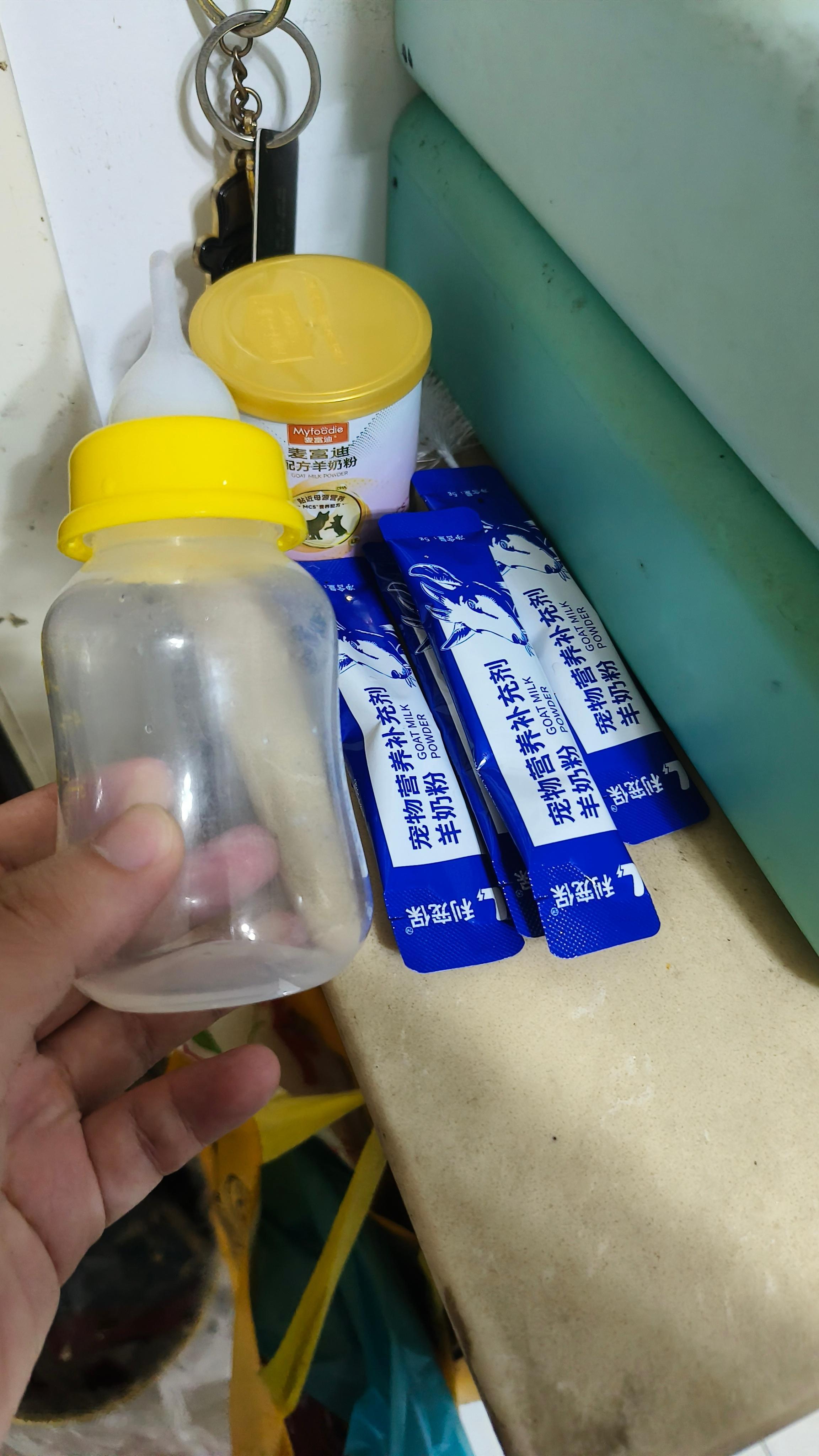 下雨天🌧️捡了只小橘子回家扔它的人倒是还留了奶粉和奶瓶🍼我尽力吧 