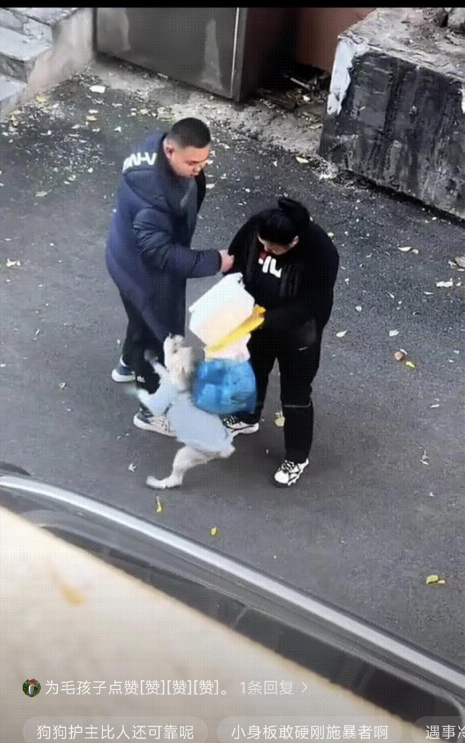 牵狗女子和男子发生口角，在相互拉扯中，男子情绪失控，突然抬手打了女子一下。令人吃