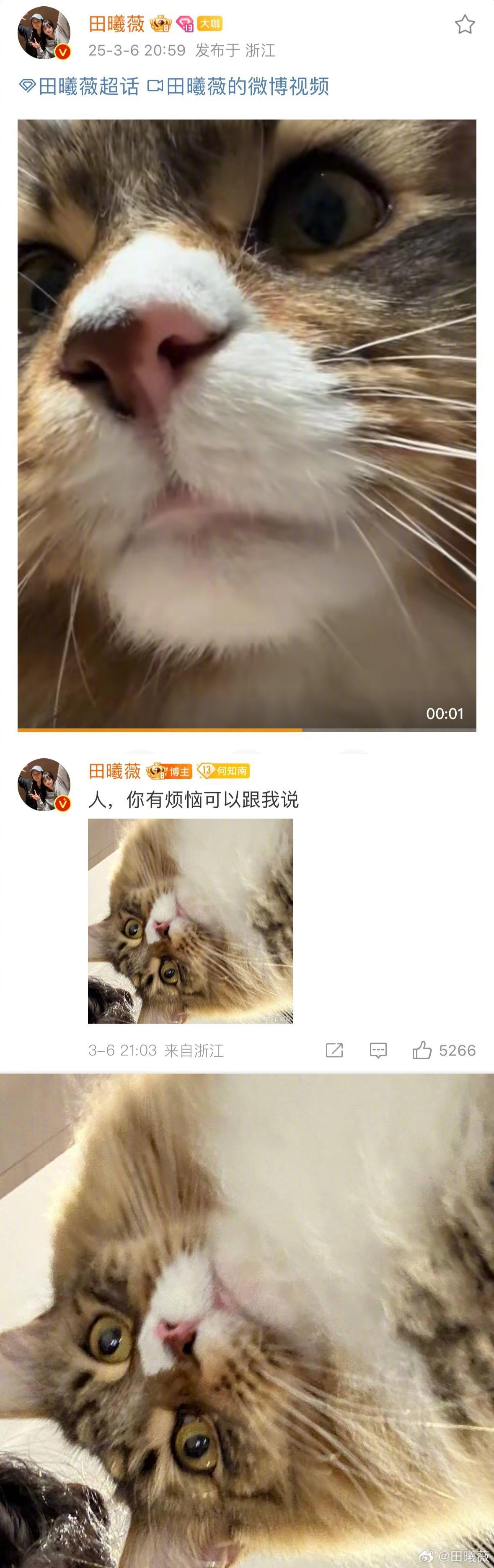 看得我心软软[抱一抱]小猫田曦薇治愈世界😿 田曦薇 真诚 田曦薇猫猫客服在线回