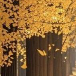 把自己活成一道窄门，世界就小了；活成一座桥，风景就宽了。不是看到光才坚持，而是坚