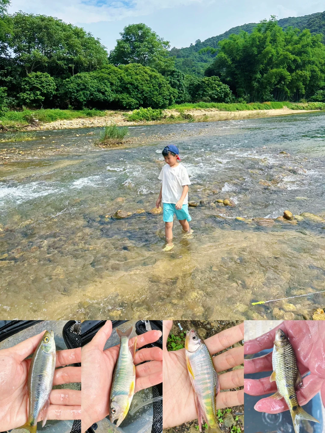 真的绝‼️鱼多水清大浅滩🤣假期玩水露营好赞