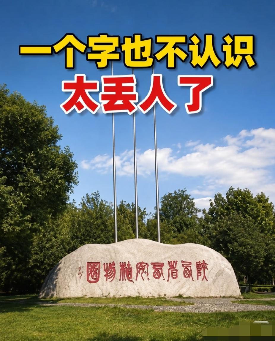 吃了没文化的亏！石头上这8个字，一个也认不出，高手们谁能帮我解答下？我叫你一声老