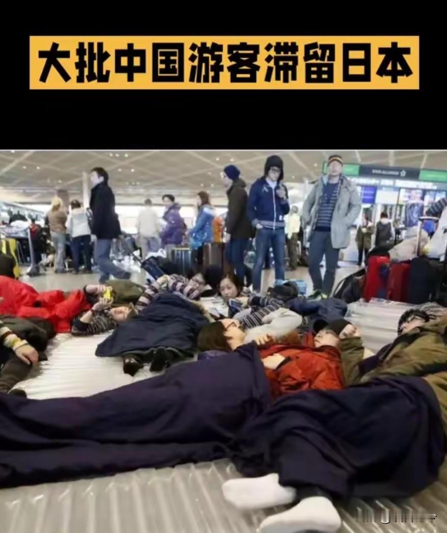 在日遭到日本人无端追打谩骂的旅日国人，在网上哭诉自己的遭遇，没料到自己同胞又幸灾