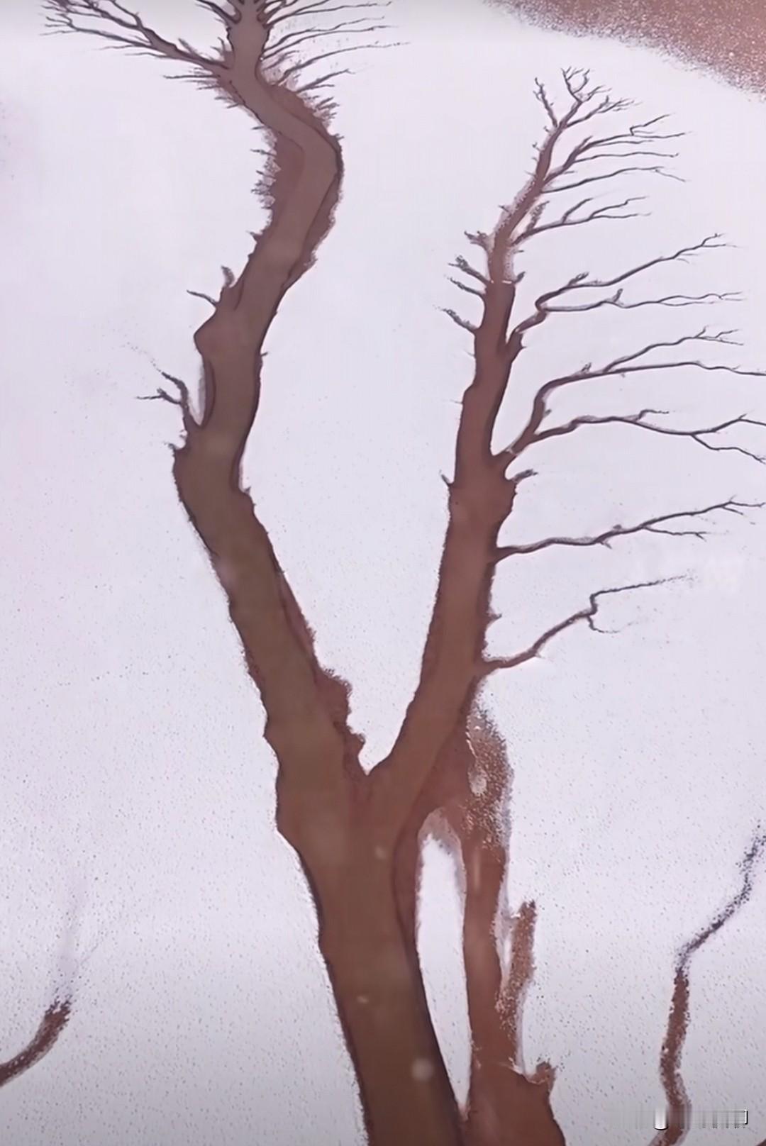 我一直以为爱国不见得必须回国，心里有国更重要[呲牙]