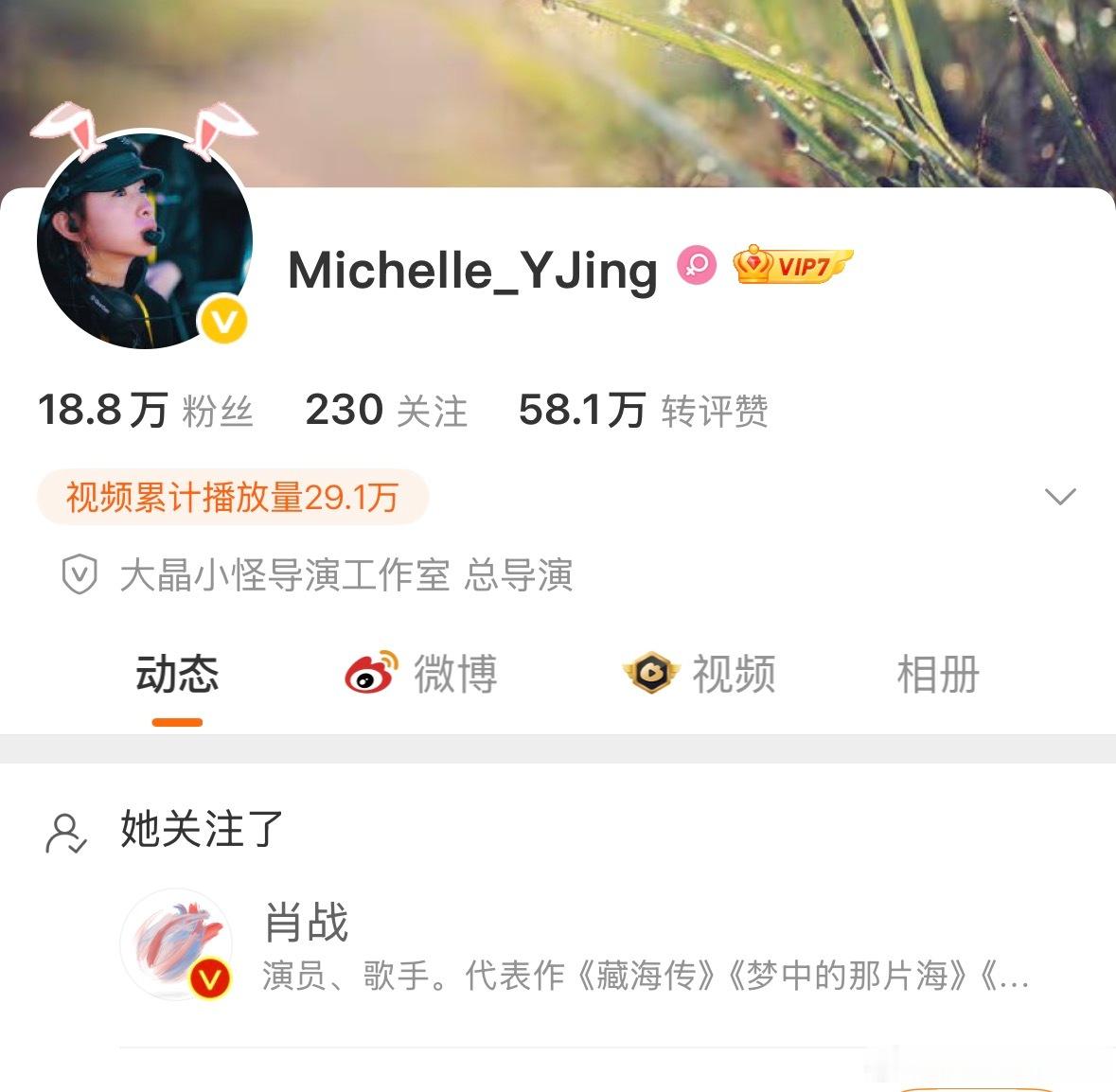 仅仅因为一个演唱会导演关注了肖战，热度就直接飙升到第一了，肖战这讨论度和关注度真
