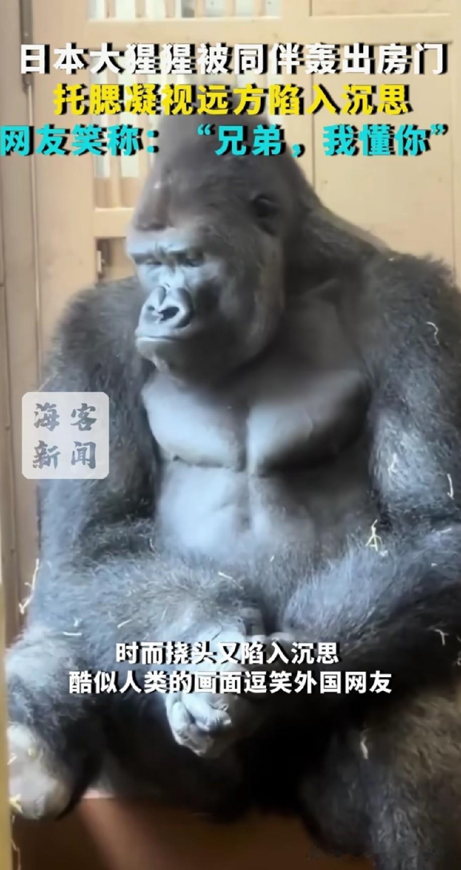 太拟人了[偷笑]
要是在拿根烟，
就更像了[偷笑]