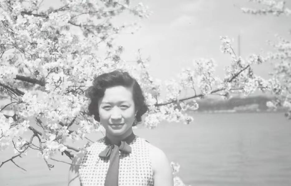 杜致礼年轻时美成了一朵花，杨振宁学者模样无疑了。他们夫妻俩携手同行数十年，杨振宁