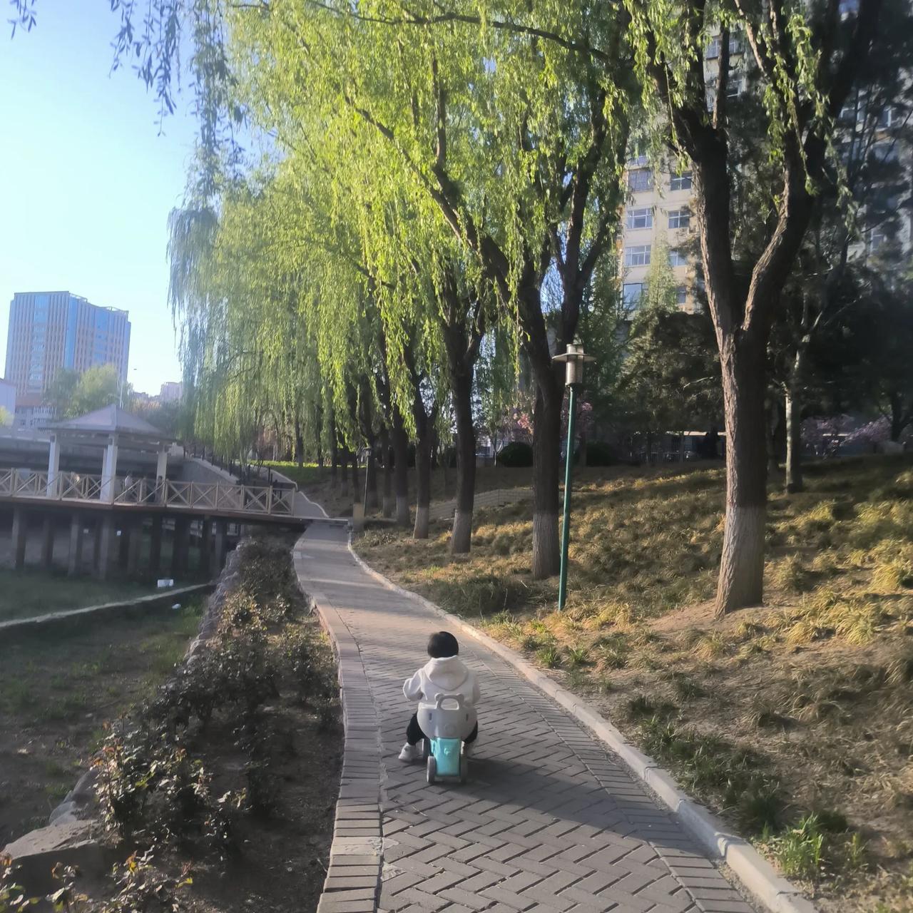 有一个婆婆说蛇年不好，是真的吗？

今天晋城下雨了，说实话我很高兴，虽然以前不喜