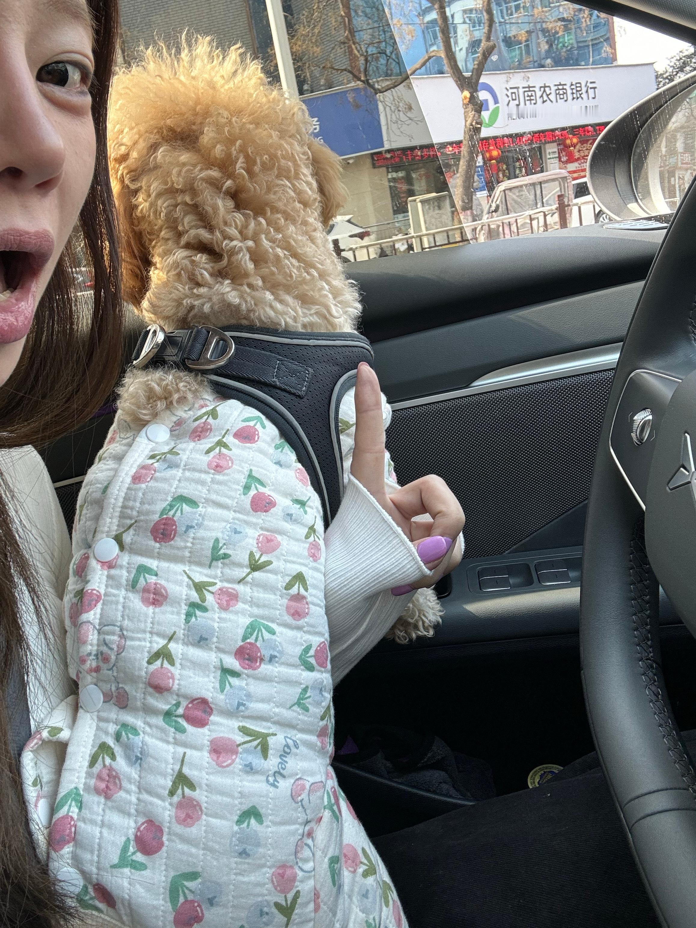 粤C在鹿邑了 家里好暖和呀 