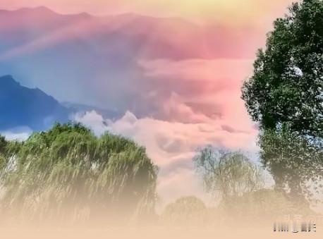 心言藏处，亦是归途
 
现实生活里，无人能真正读懂你，更鲜少有人愿意花心思读懂你