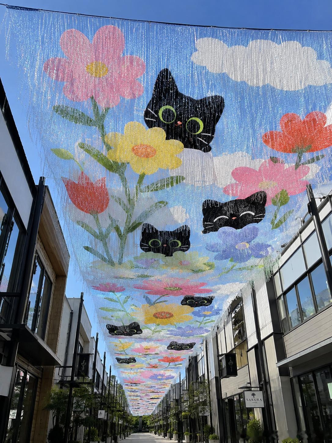 214 猫咪天幕！！！！咋这么好看！！！！ 