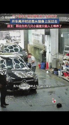 真的被这种毫无缘由的恶意狠狠恶心到了！
       广东这位车主的行为，根本不