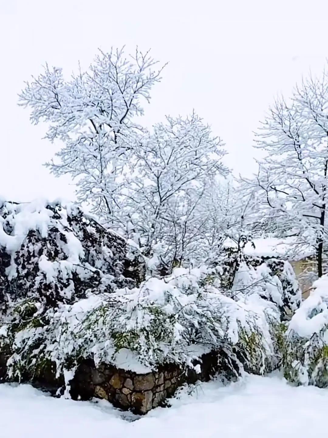 完整榜单来了！就在刚刚，云南多地迎来了罕见的降雪，假期的氛围瞬间被点燃。有人说，