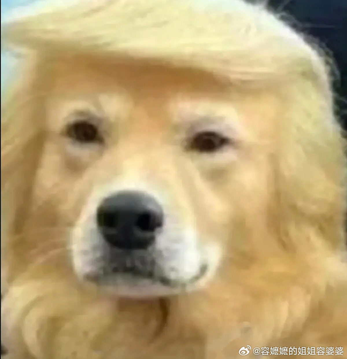 宁德时代创始人曾毓群个人分红81亿拿宁德时代比胖东来就狭隘了，胖东来是服务型销售