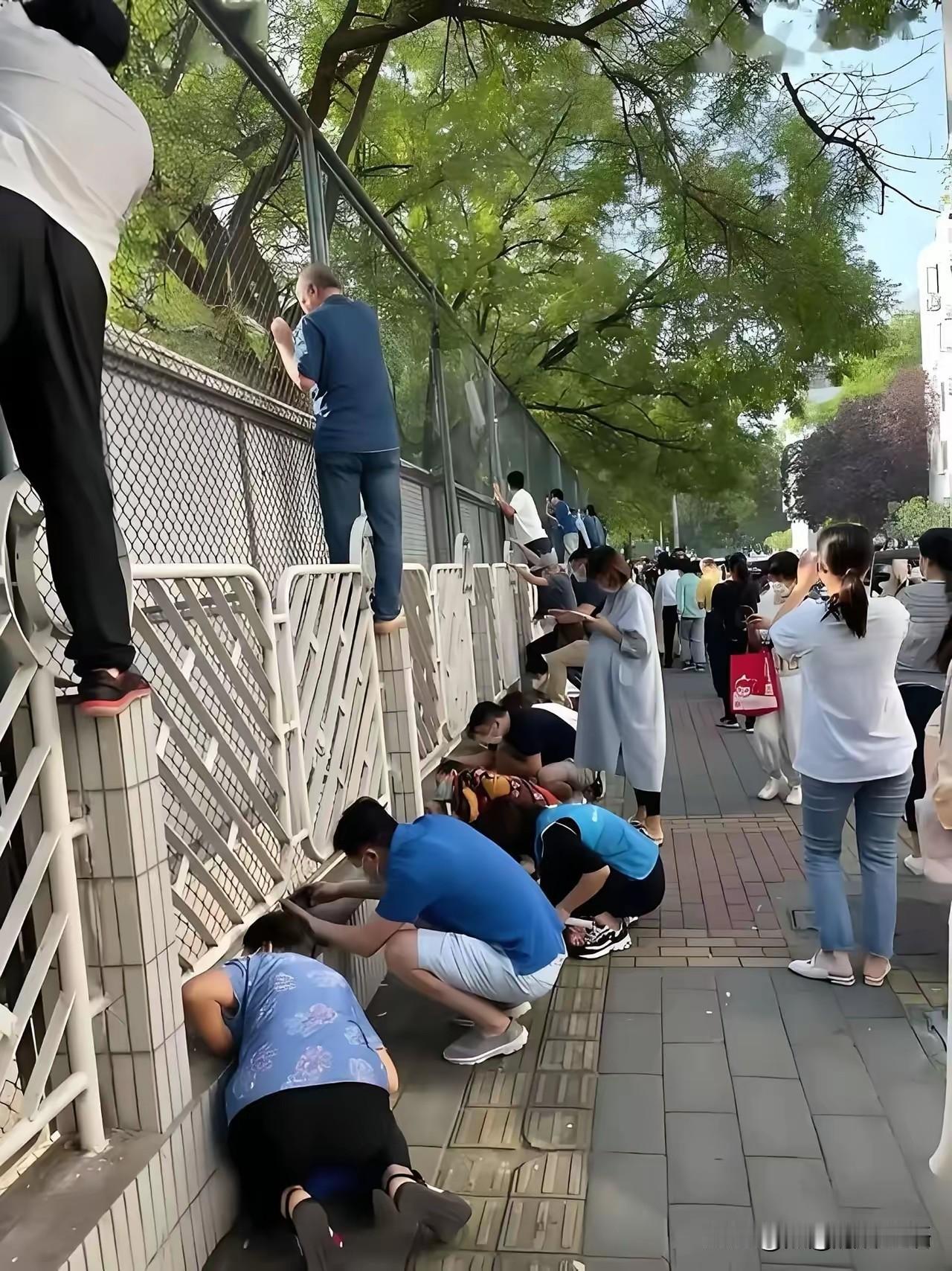 这场面，这气势，也太那啥了。9月1号，校门口真是热闹非凡！

妥妥滴，不是孩子，