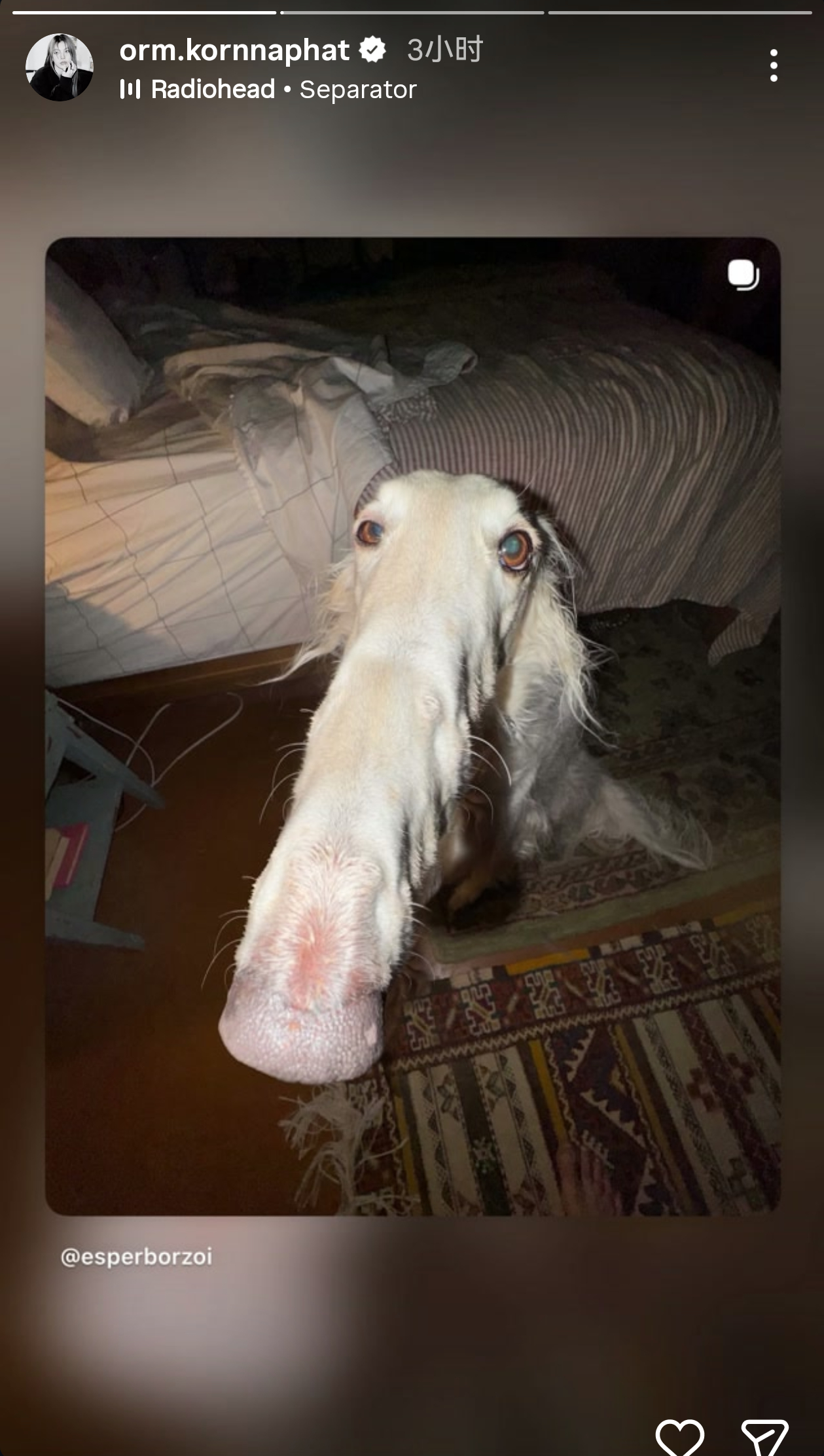 忙碌了一天之后打开ig看到这把收折伞真的很痛苦 ​​​