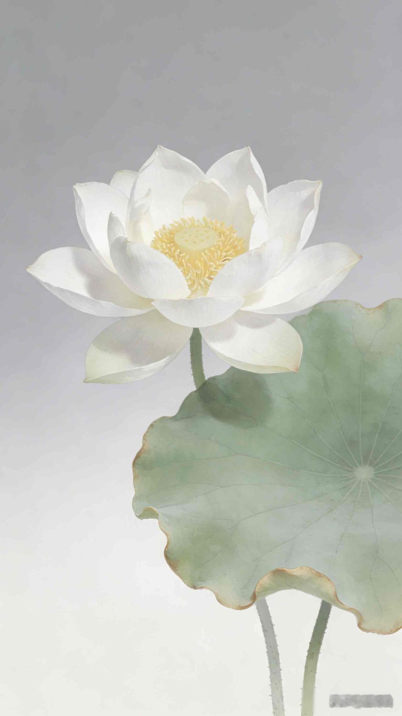 最好的养生，是养成这些好习惯。

我每天挤地铁，熬夜改方案，总觉得年轻身子扛得住