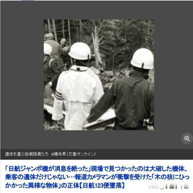 读完这篇日本航空123号班机空难的回顾报道，内心深受震撼。那句“从羽田飞往大阪伊