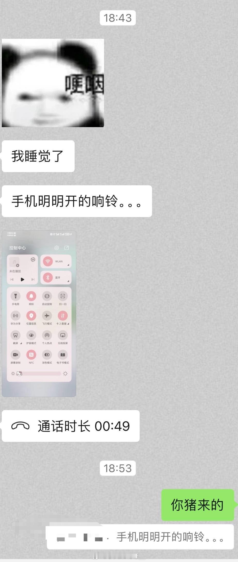 这里有一只猪 