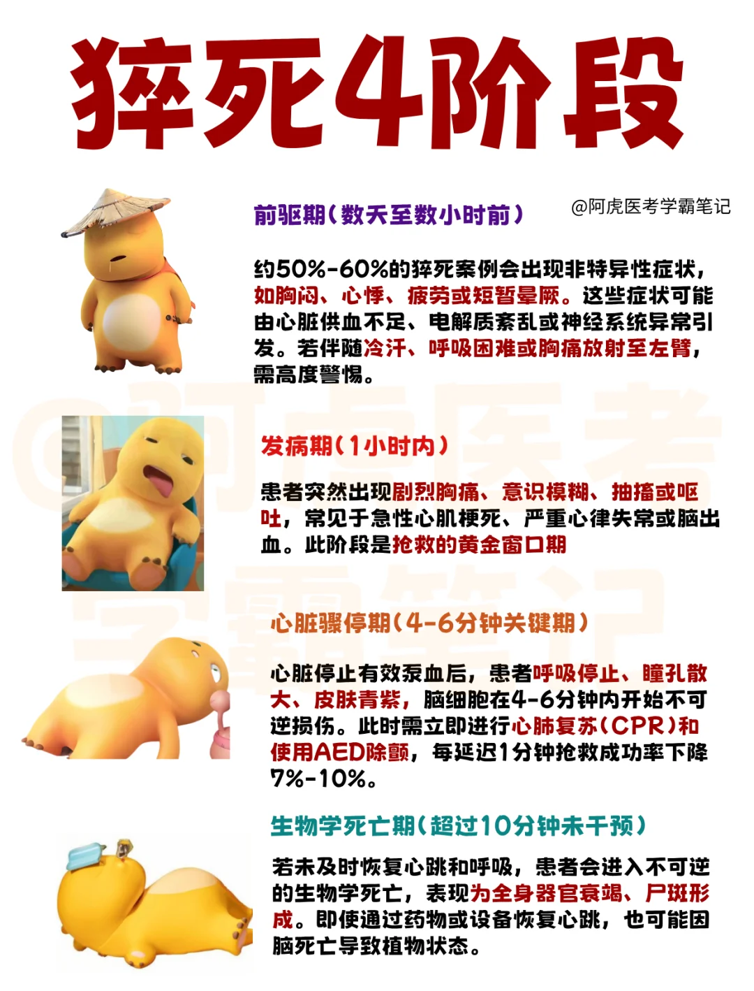 医学生笔记📒：猝死几个阶段👆