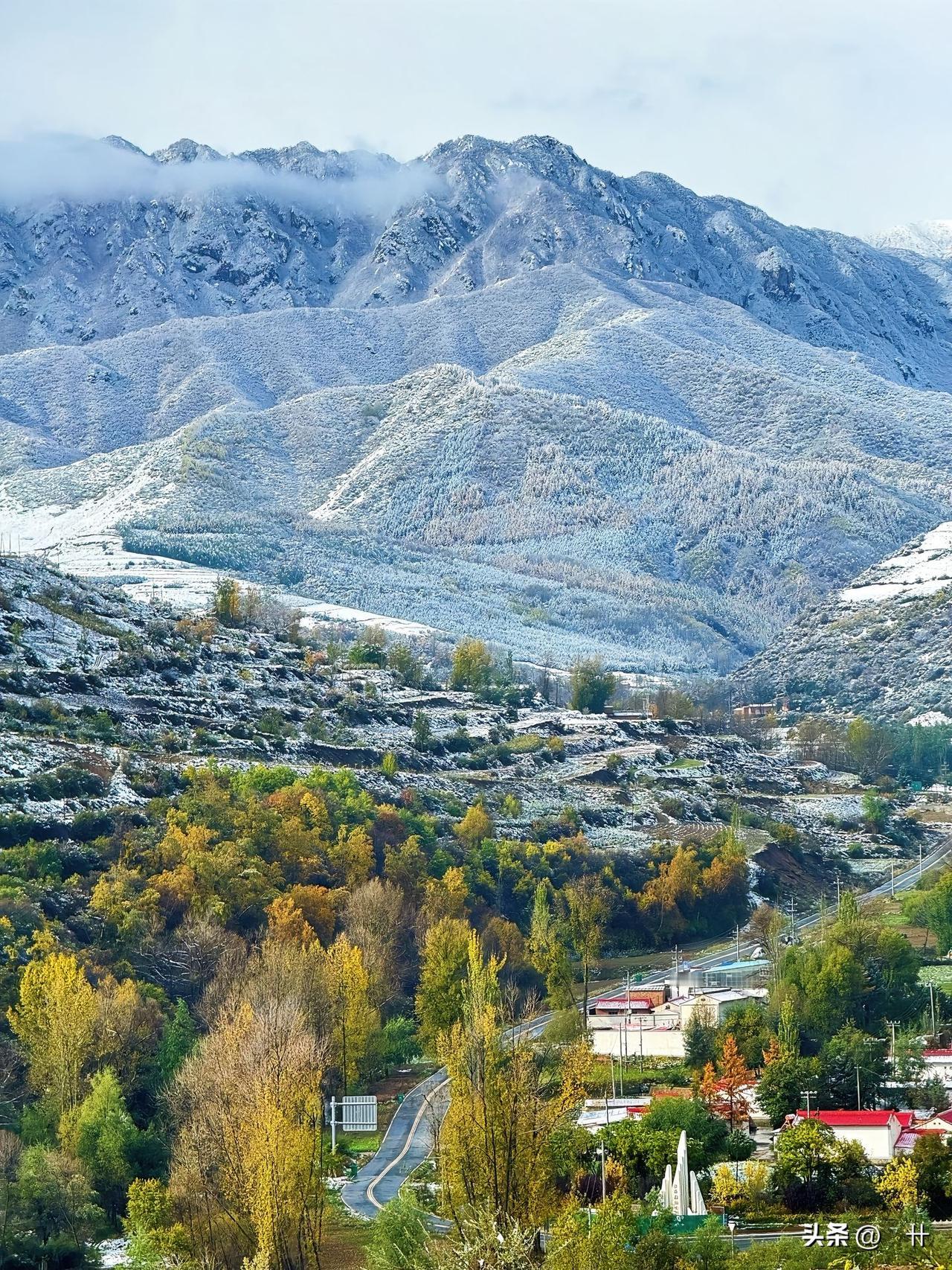 今年最舍不得删的照片高原雪景