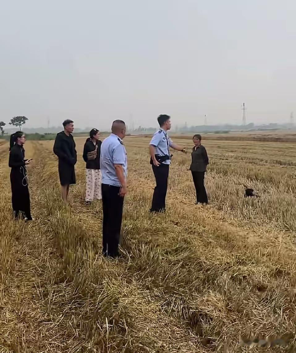 老乡啊，去收麦还得给人家钱，真实在！湖北省是不是得给所有农机手一个道歉！说声对不