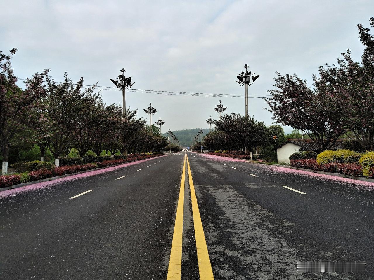 冬季寒风经常掛。