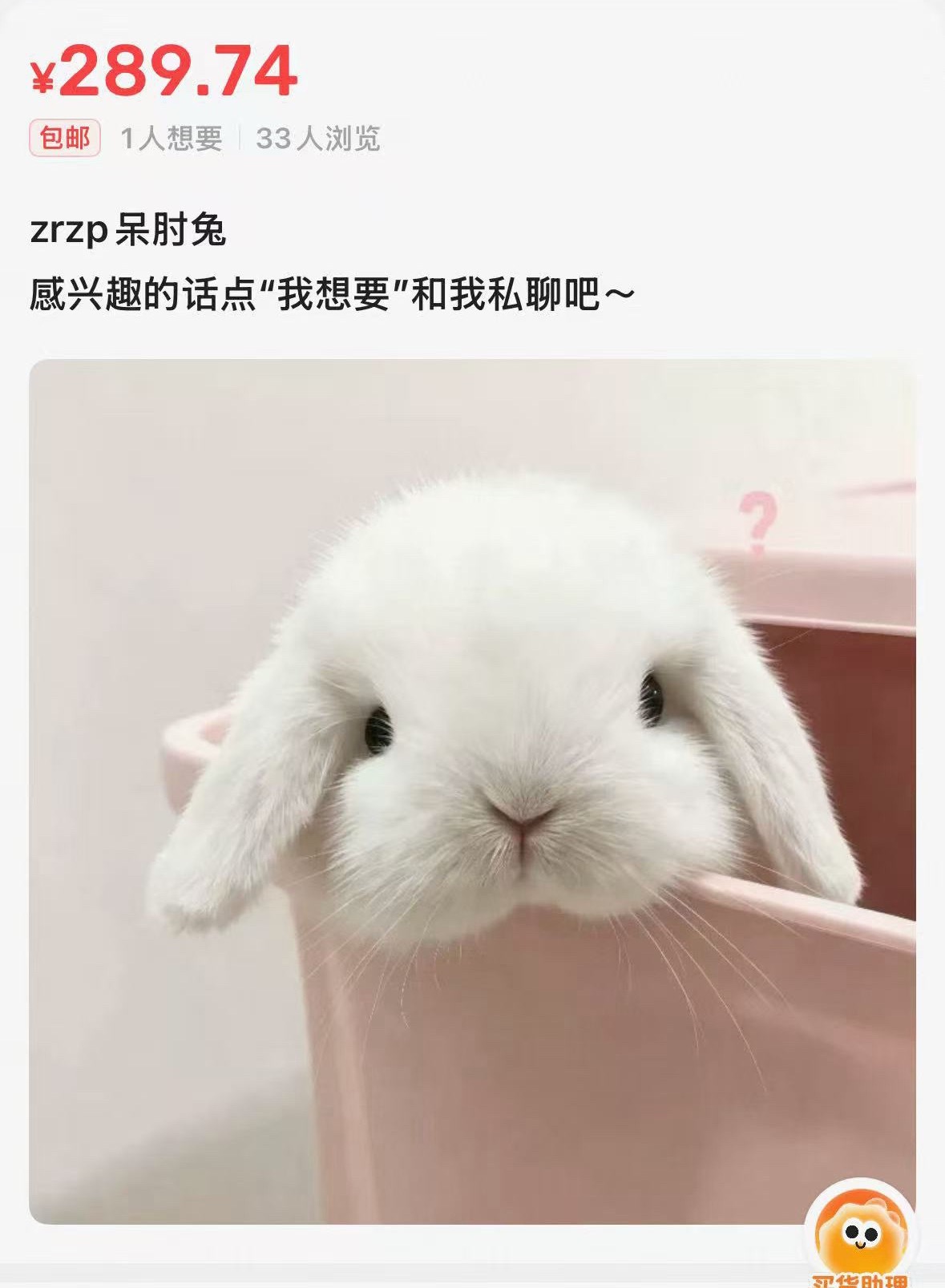继续拍卖 继续自带价 继续高价… 