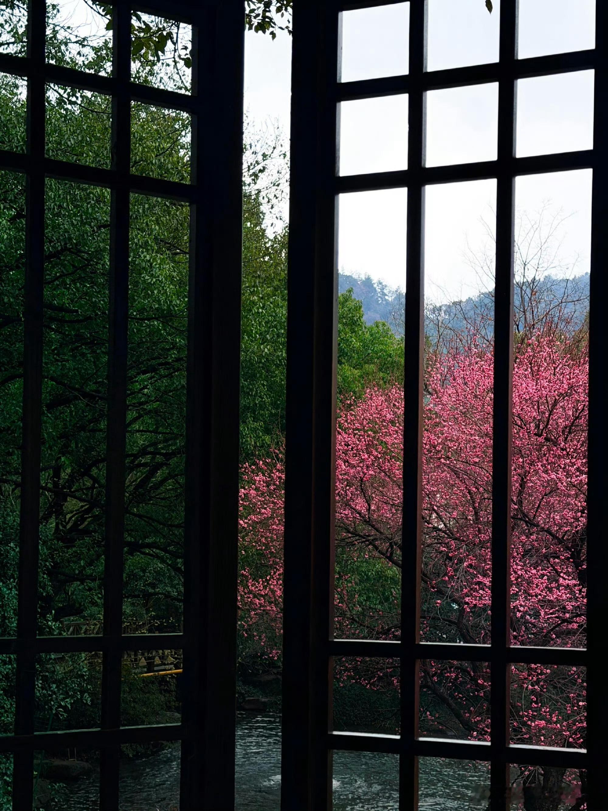 你的生命中有过这样意难平的瞬间吗？去年今日此门中，人面桃花相映红。人面不知何处去