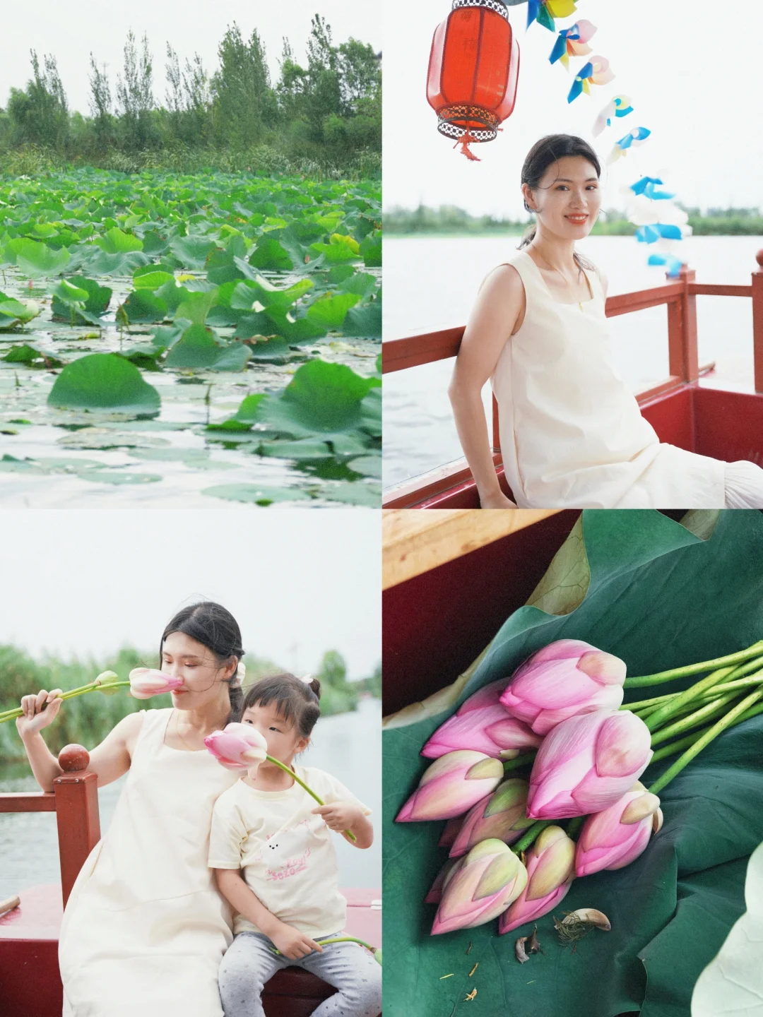 北京2h🚗采花摘莲蓬✅白洋淀野淀攻略